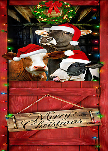 Cattle Merry Christmas