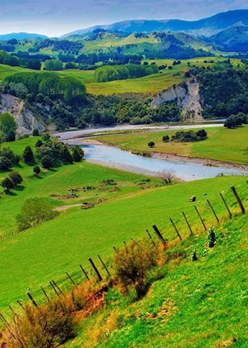 New Zealand's Nature and River