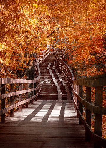 Wooden Staircase