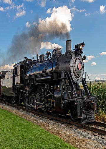 The Steam Train