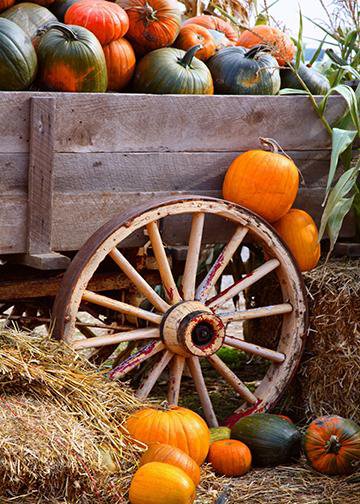 Wagon Full of Pumpkins