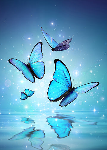 Blue Butterflies