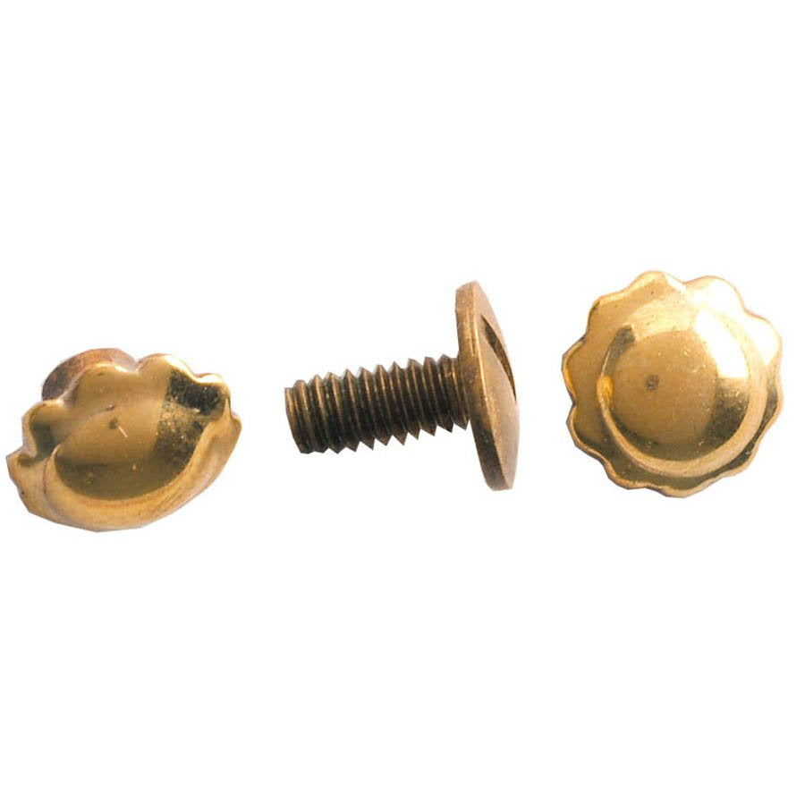 Brass Screw Back Spots