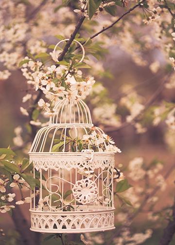 Vintage Bird Cage