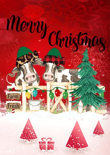 Merry Xmas Cows