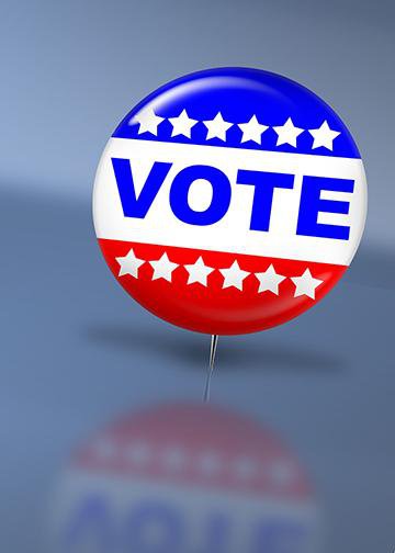 Voting Pin