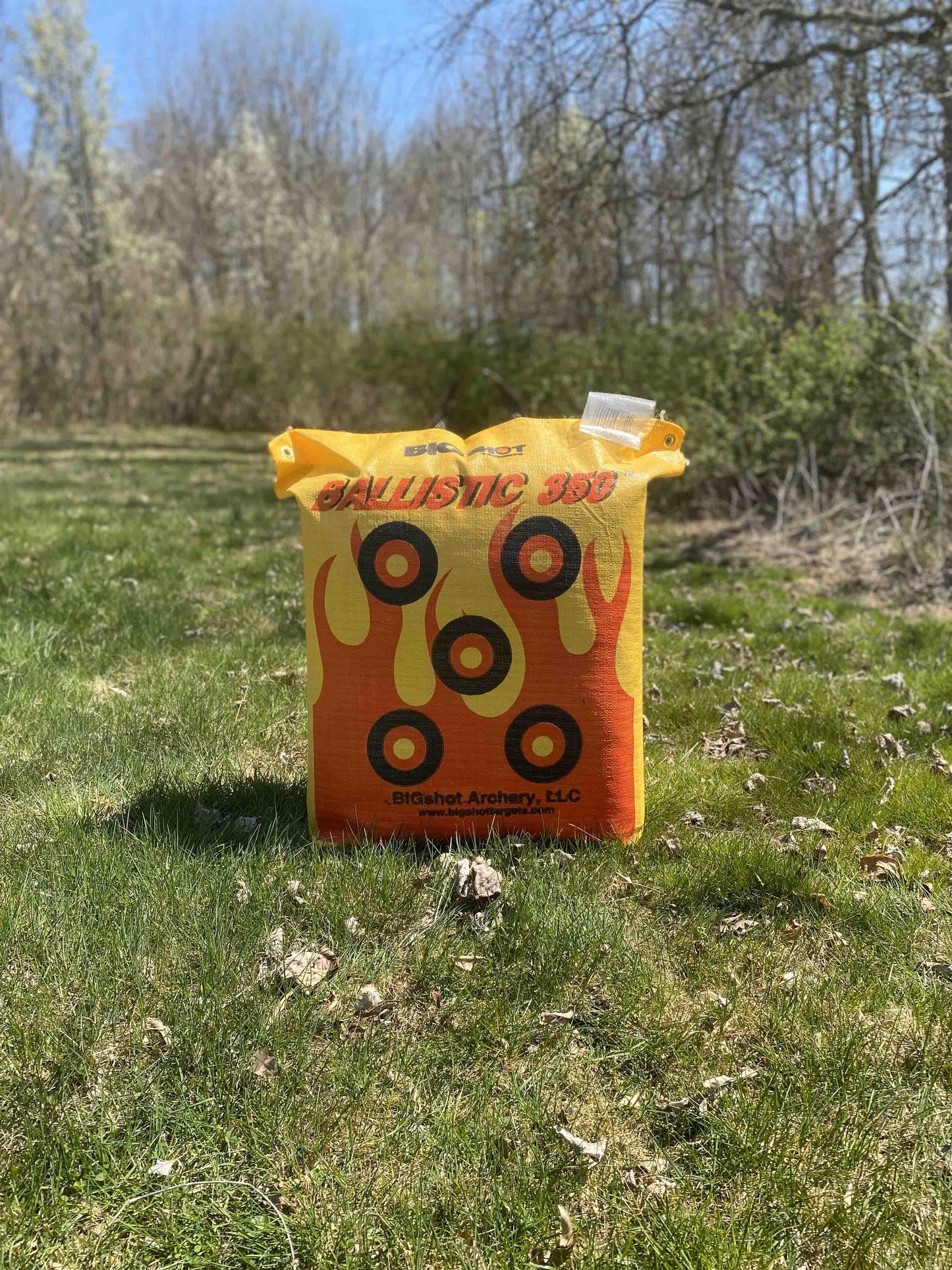 Ballistic 350 Archery Bag Target