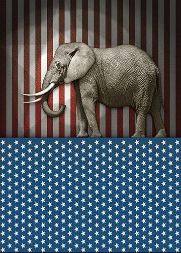 Stars & Stripes Republican Elephant