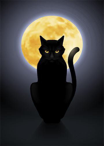 Black Cat with Full Moon