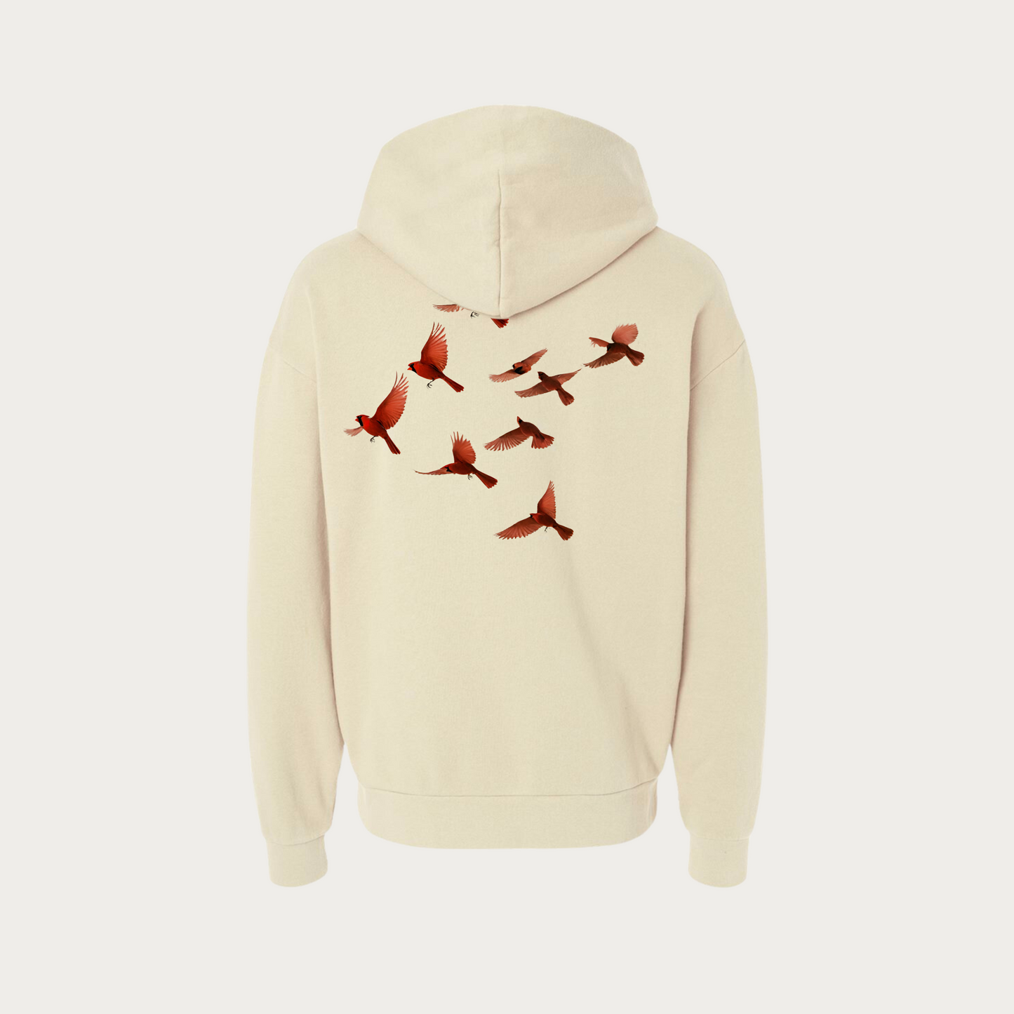 Take Flight Oversized Hoodie