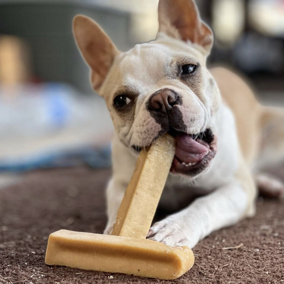 Himalayan Yak Chew (MEDIUM)