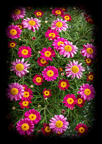 Spring Hanging Decorations