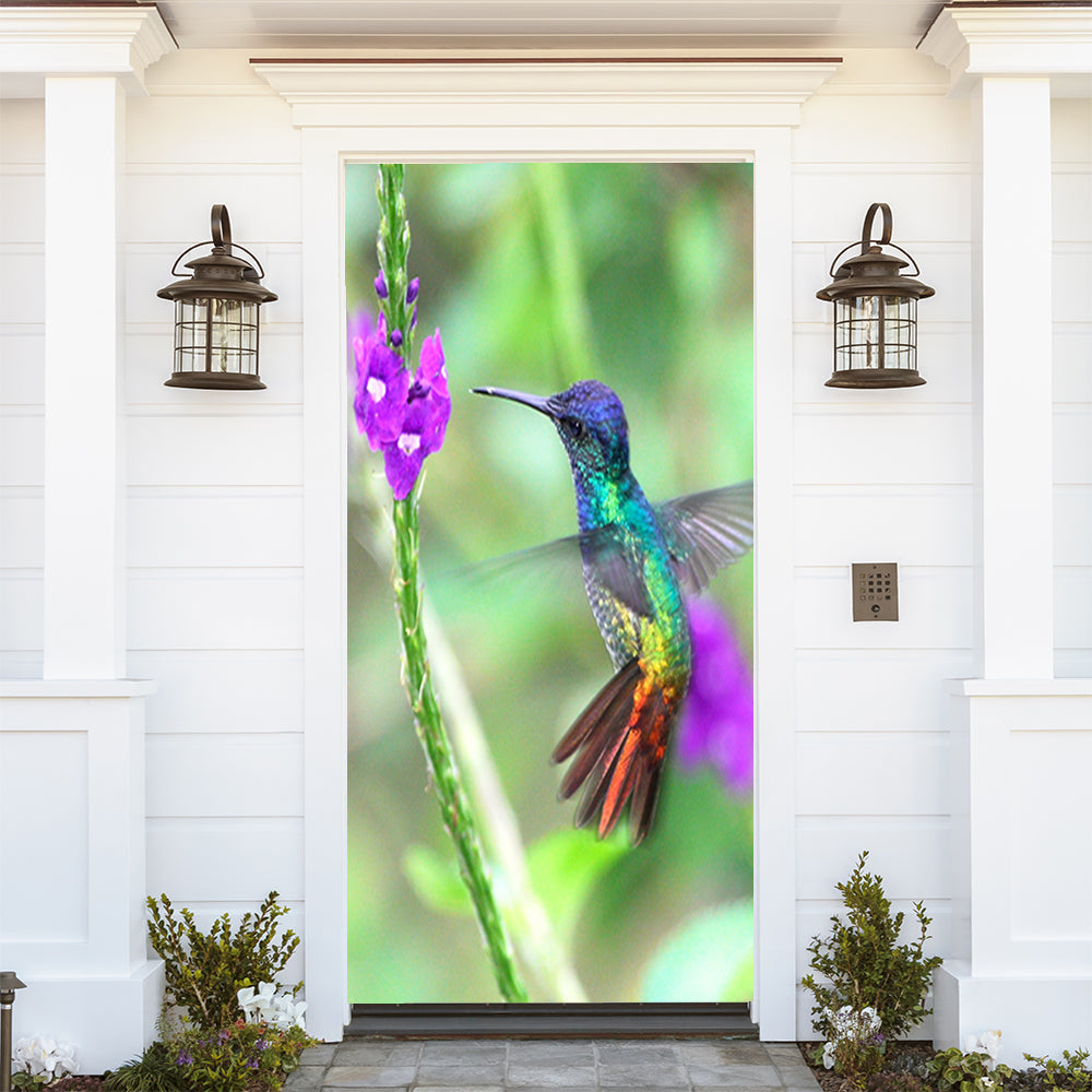 Hummingbird Art