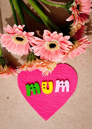 I Love Mum Door Cover