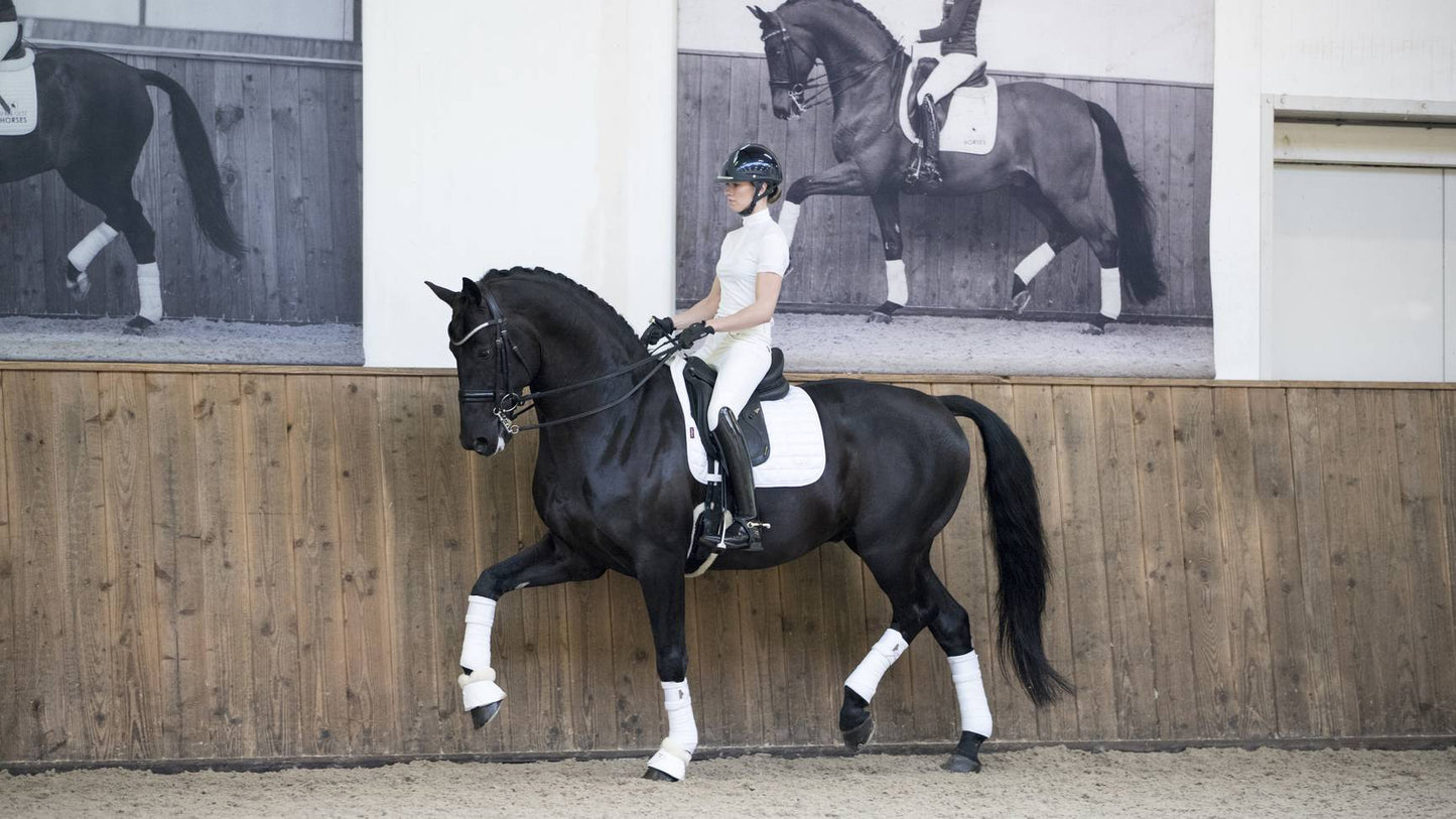 LeMieux Loire Classic Dressage Square White