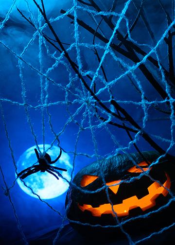 Spider Web with Pumpkin