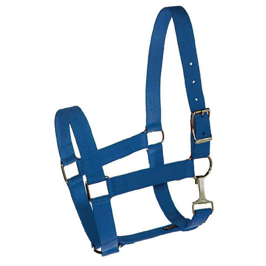 The XXL Halters