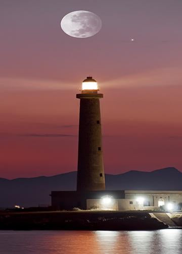 Favignana Island