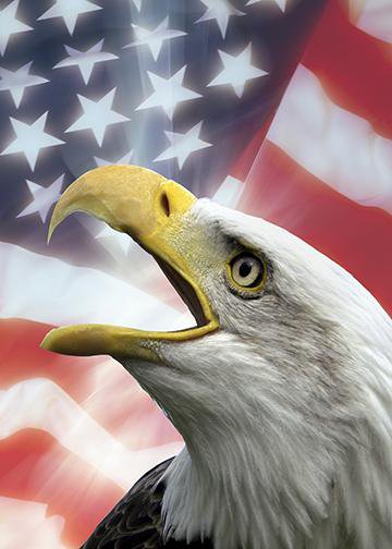 Bald Eagle on American Flag