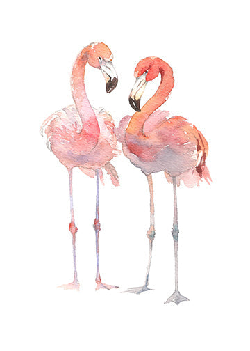 Flamingo Couple