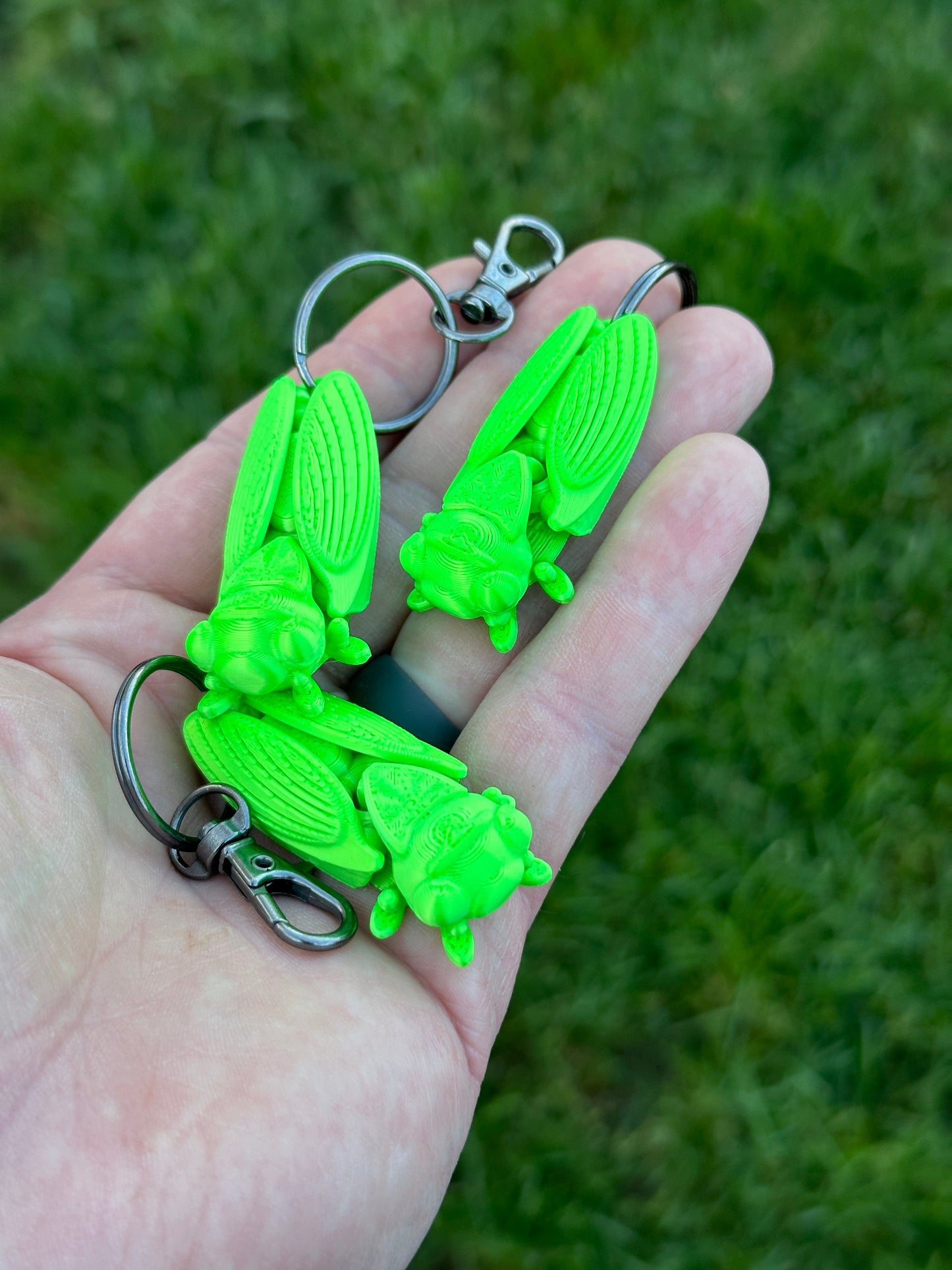 Cicada Keychain