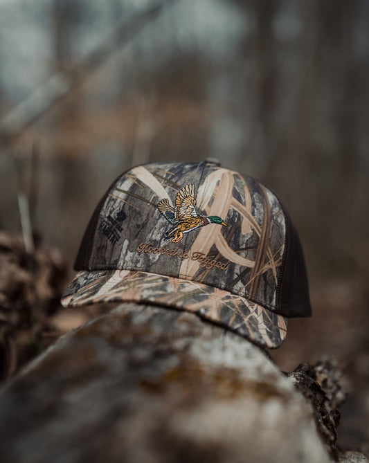 In-Flight Embroidered Hat