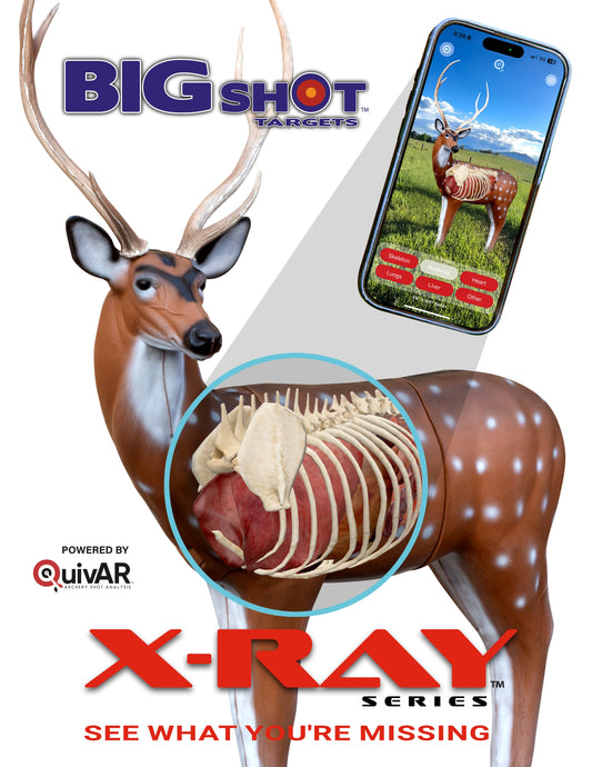 X-Ray Series Axis Deer