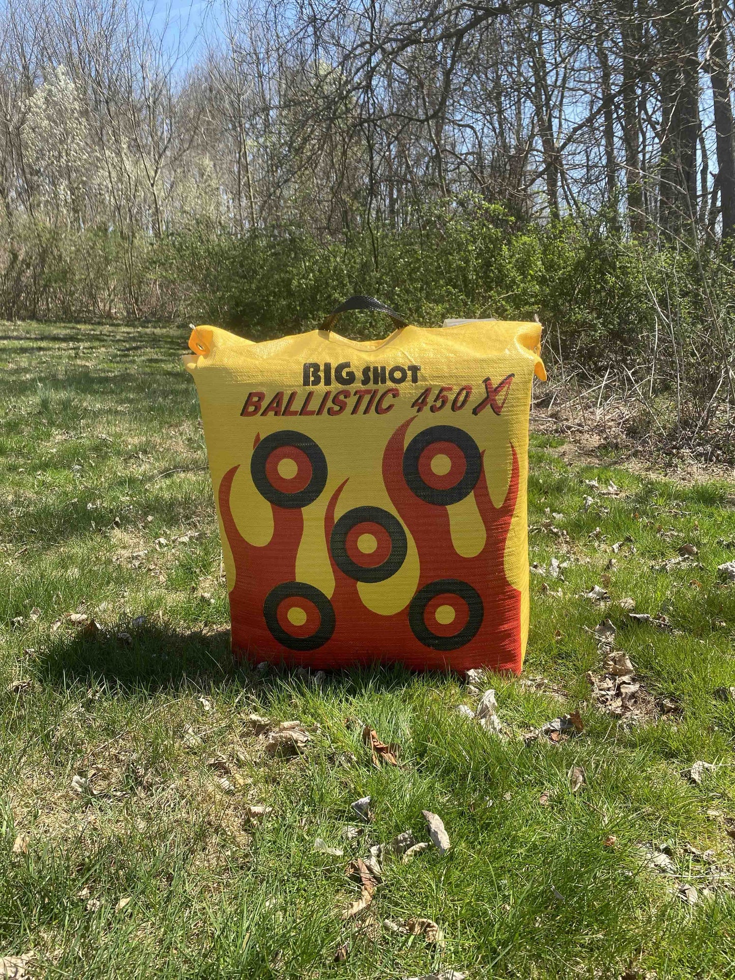 Ballistic 450X Bag Target