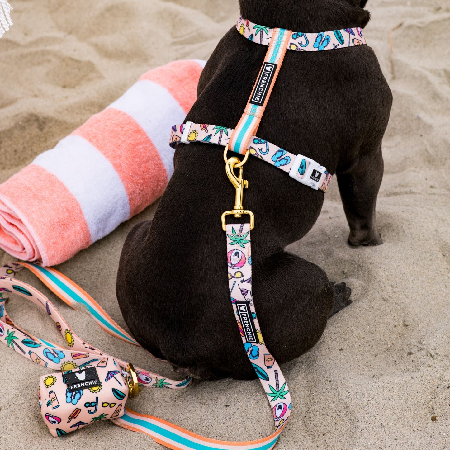 Frenchie Strap Harness - Beach Bum