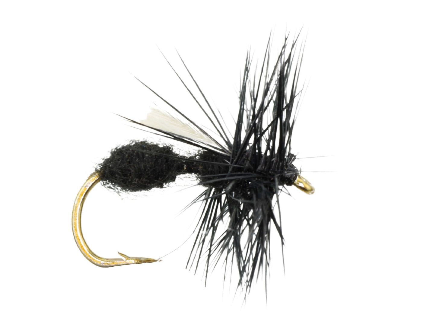 Winged Black Ant, Size 12 | Qty. 6 | Wild Water Fly Fishing