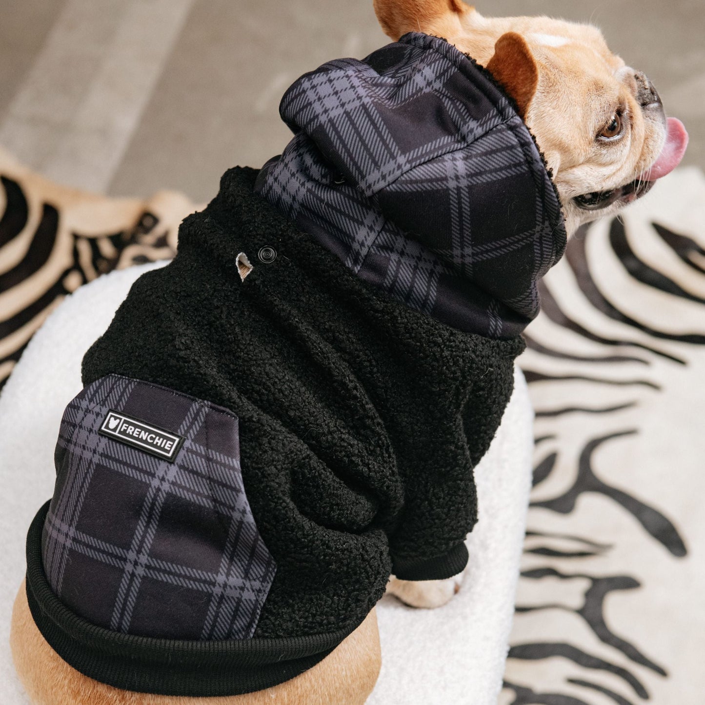 Frenchie Dog Hoodie - Black Plaid