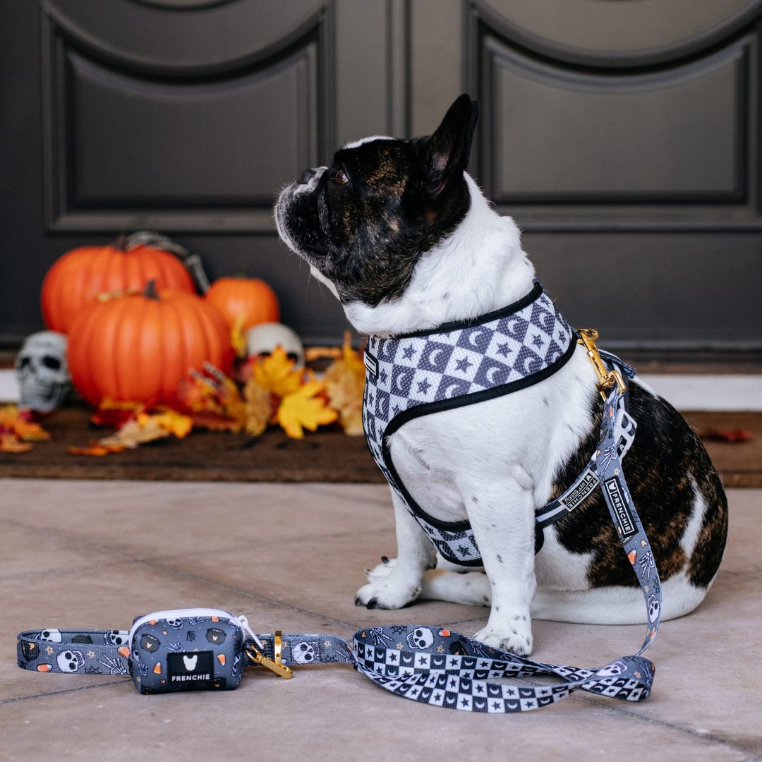 Frenchie Duo Reversible Harness - Black Magic