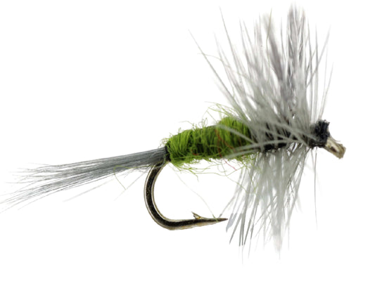 Blue Winged Olive, Size 16 |  Qty. 6 | Wild Water Fly Fishing