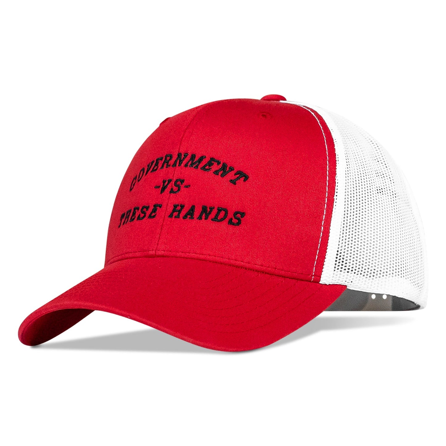 Government -vs- These Hands SnapBack