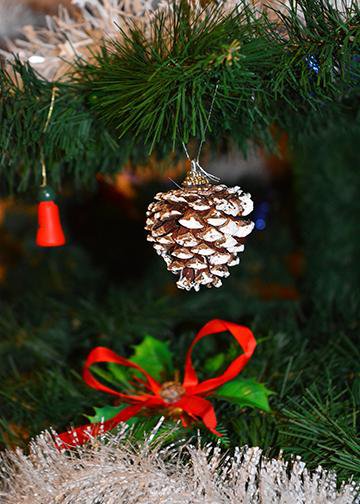 Christmas Pine Cone