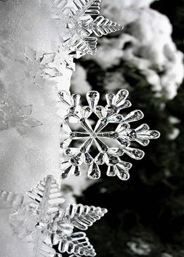 Christmas Ice Snowflakes