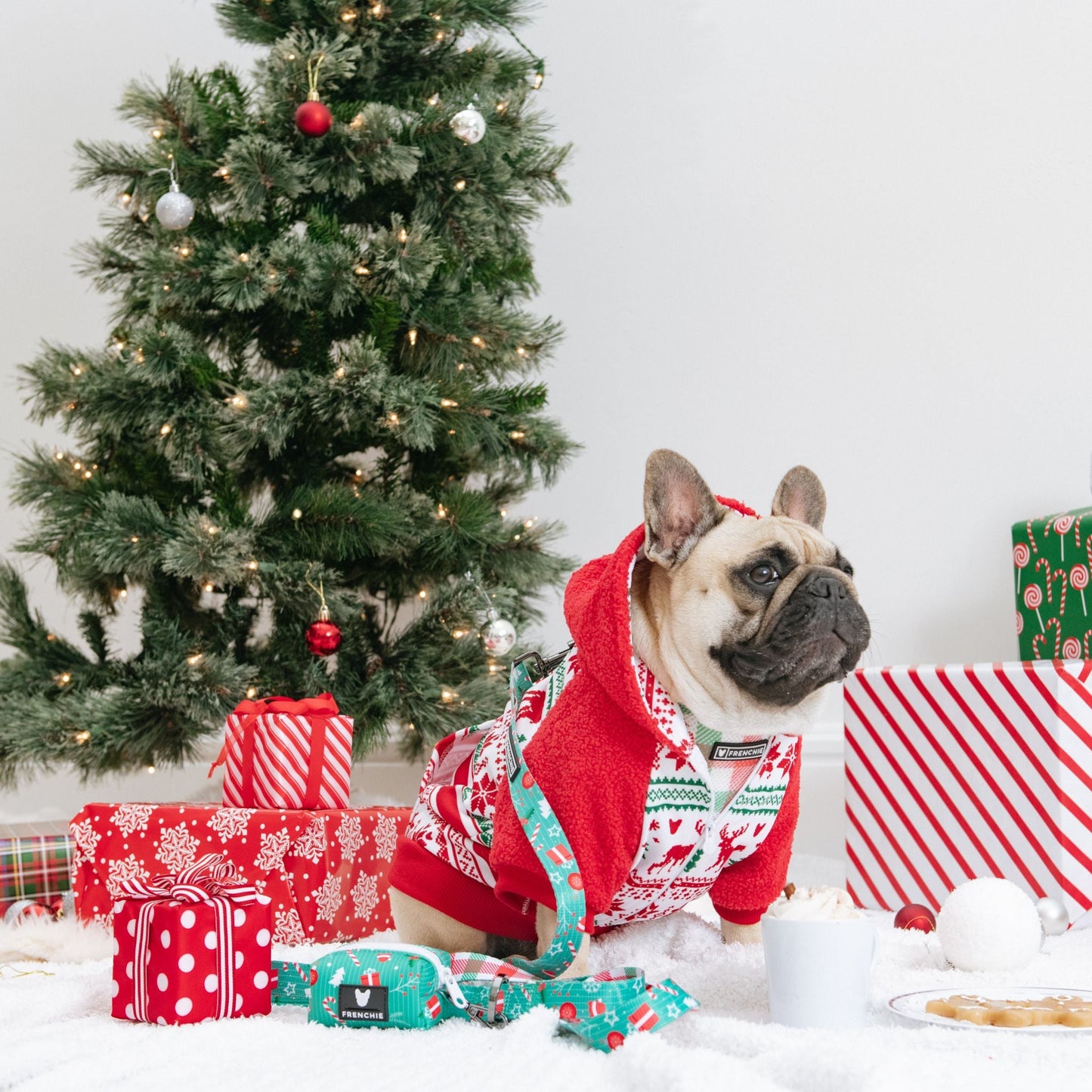 Frenchie Dog Hoodie - Tis The Season