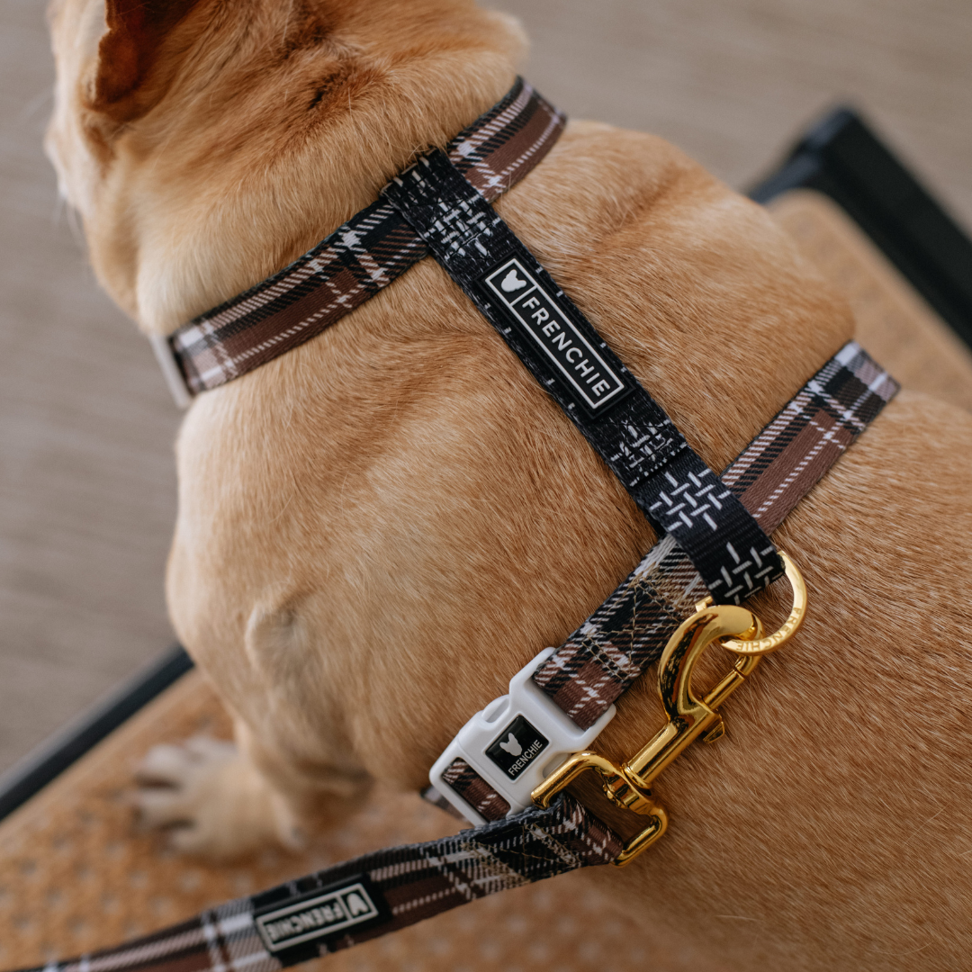 Frenchie Strap Harness - Cocoa Plaid