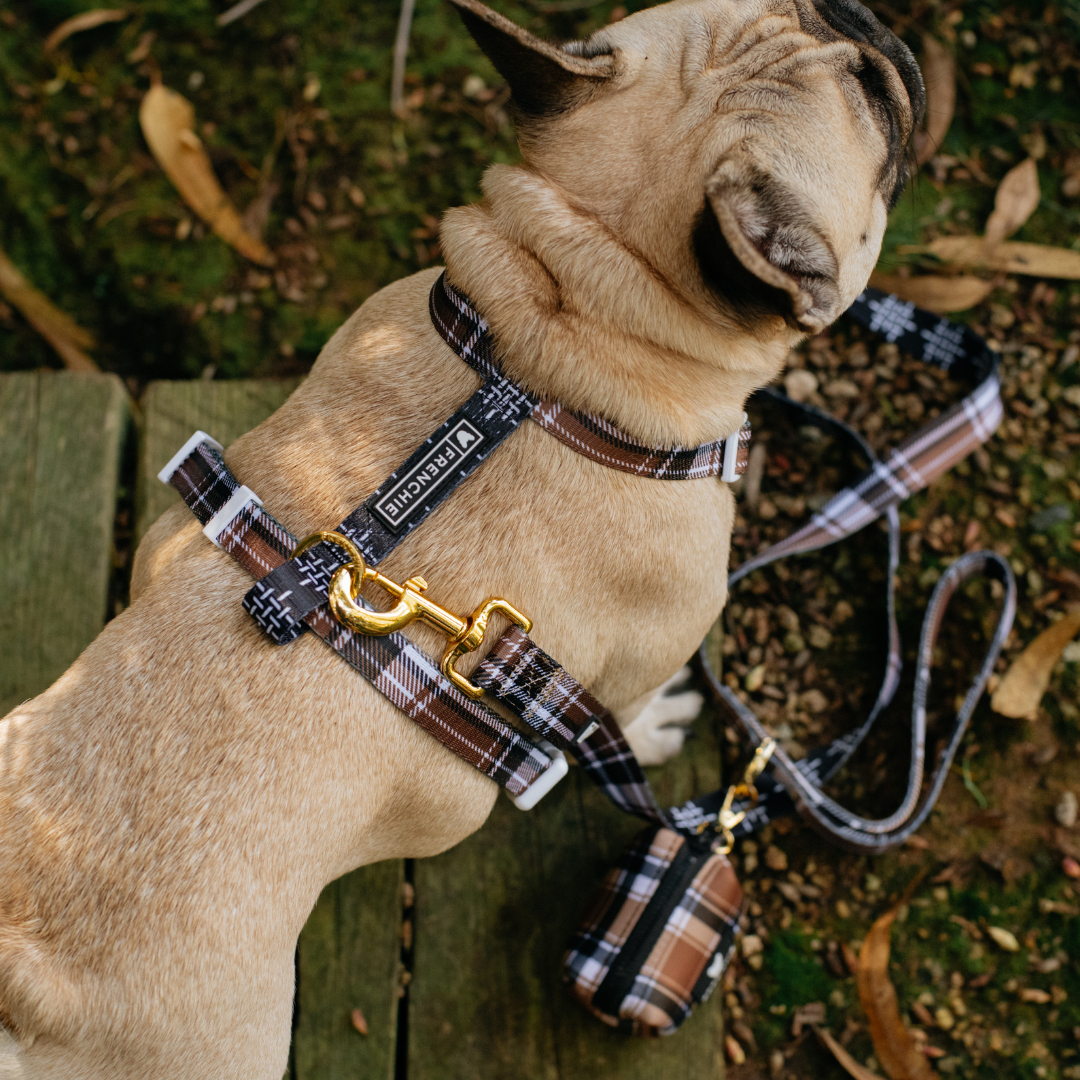 Frenchie Strap Harness - Cocoa Plaid