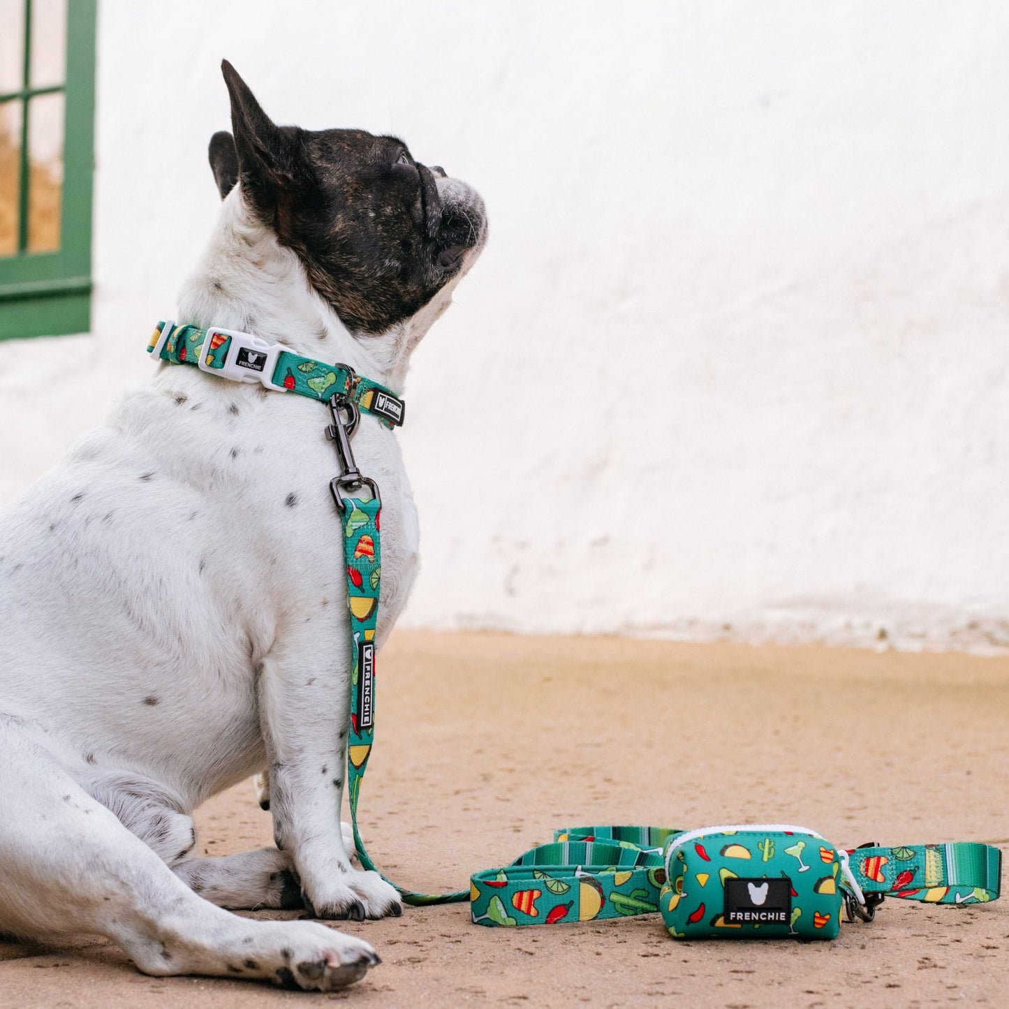 Frenchie Comfort Collar - Taco Tuesday- Green