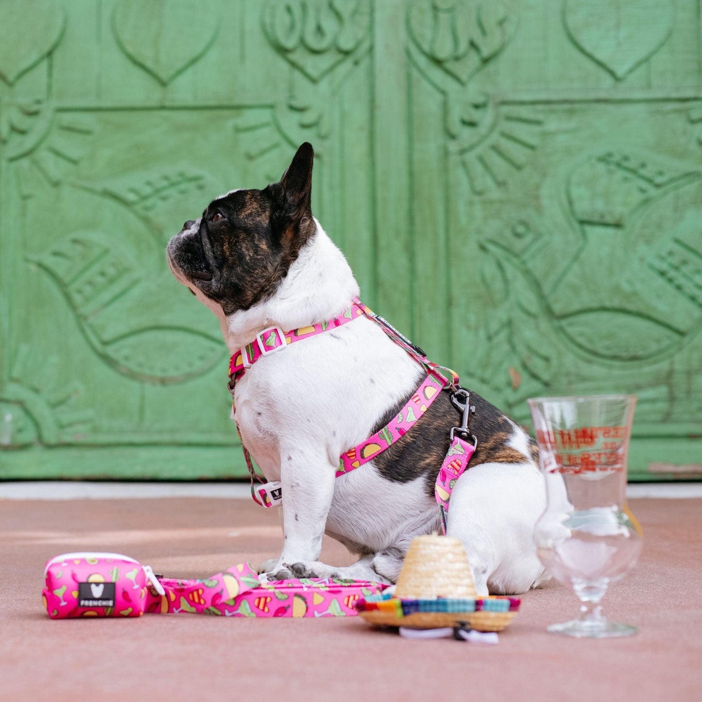 Frenchie Strap Harness - Taco Tuesday- Pink