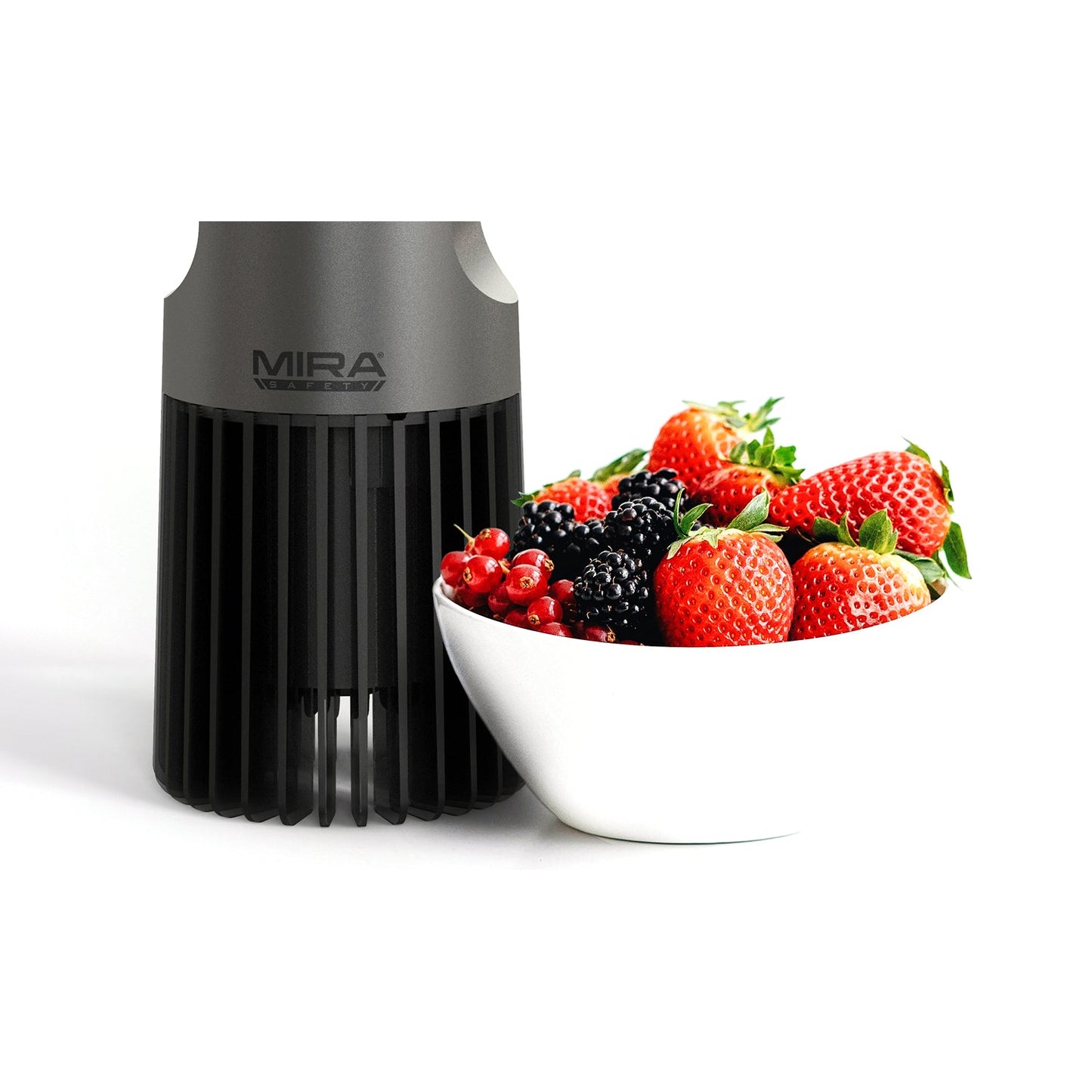 DTX-1 Ultrasonic Fruits and Vegetable Cleaner