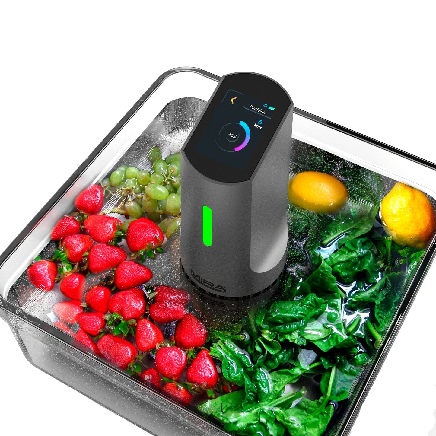 DTX-1 Ultrasonic Fruits and Vegetable Cleaner