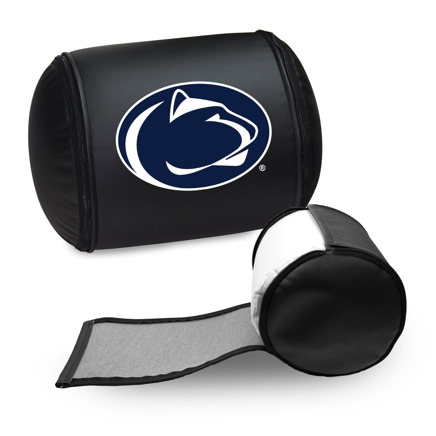 Penn State Nittany Lions Logo Panel