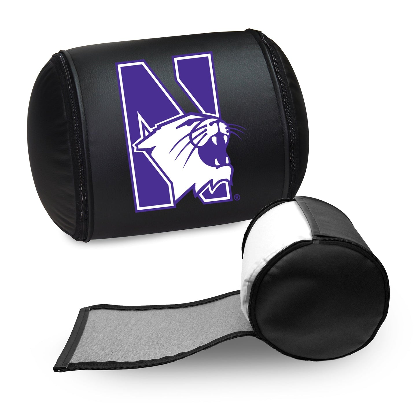 Northwestern Wildcats Logo Panel