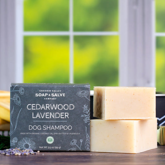 Dog Shampoo: Cedarwood Lavender