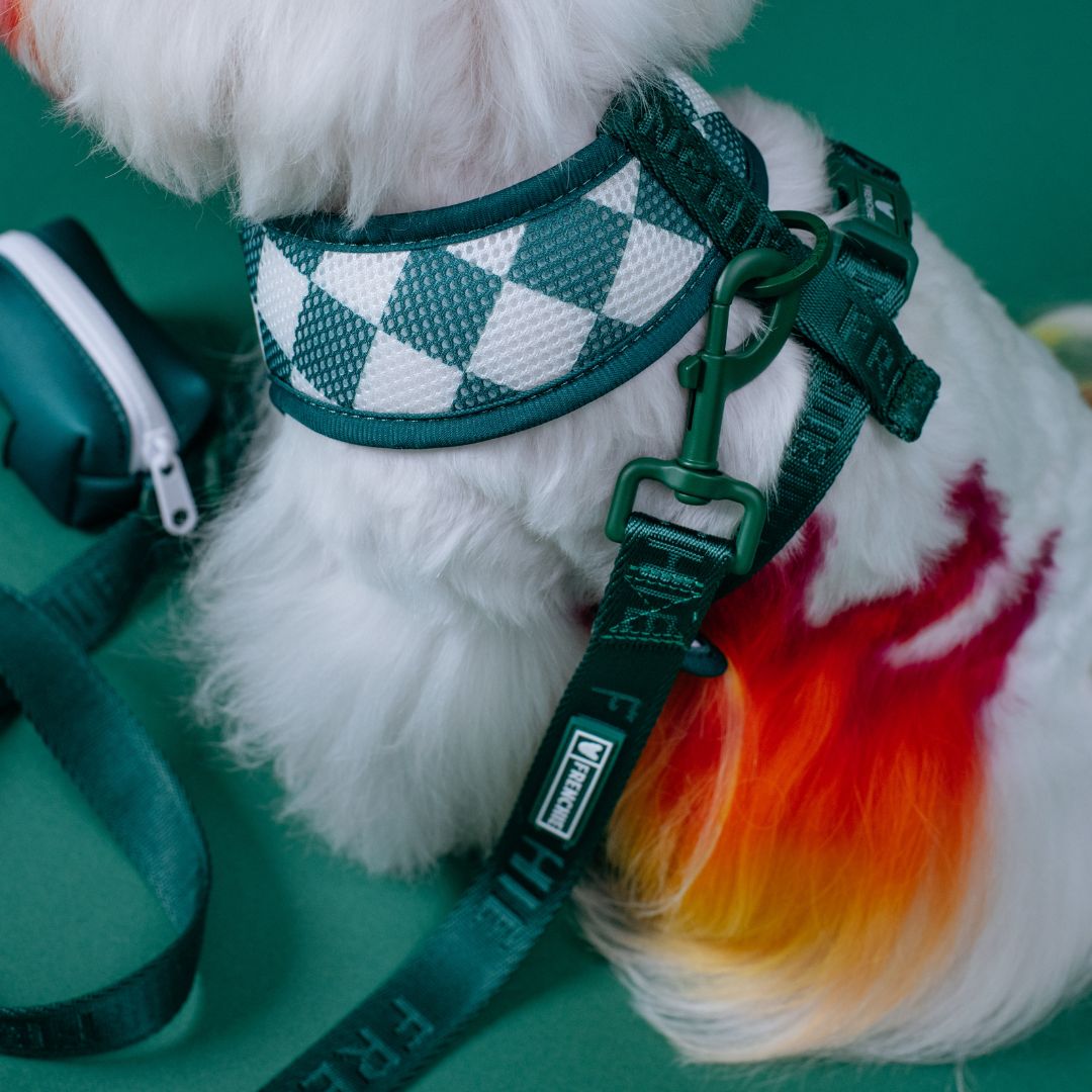 Frenchie Duo Reversible Harness - Emerald City