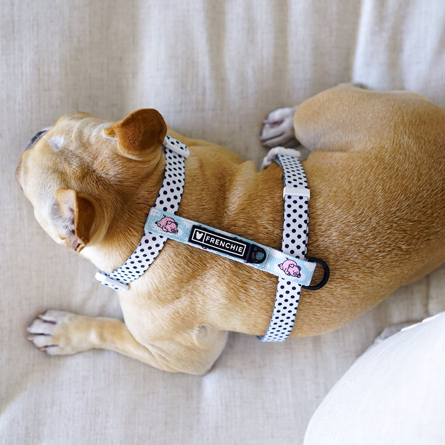 Frenchie Strap Harness - When Pigs Fly