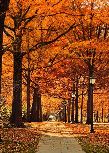 Autumn Door Decor