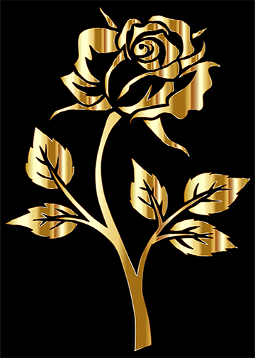 Golden Rose